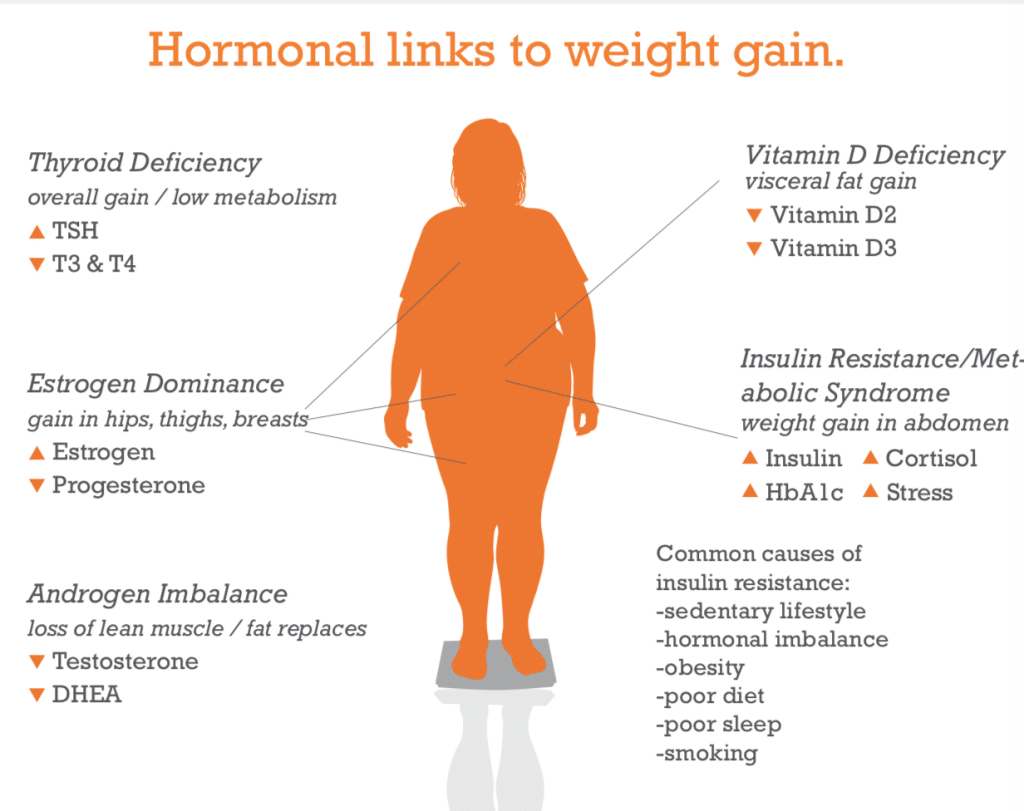 The Impact Of Hormones On Your Weight Loss Journey