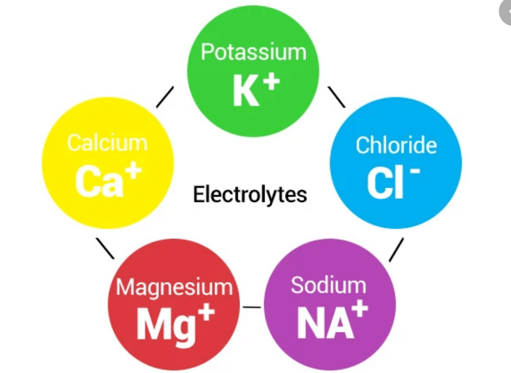 The Crucial Role Of Electrolytes In The Body